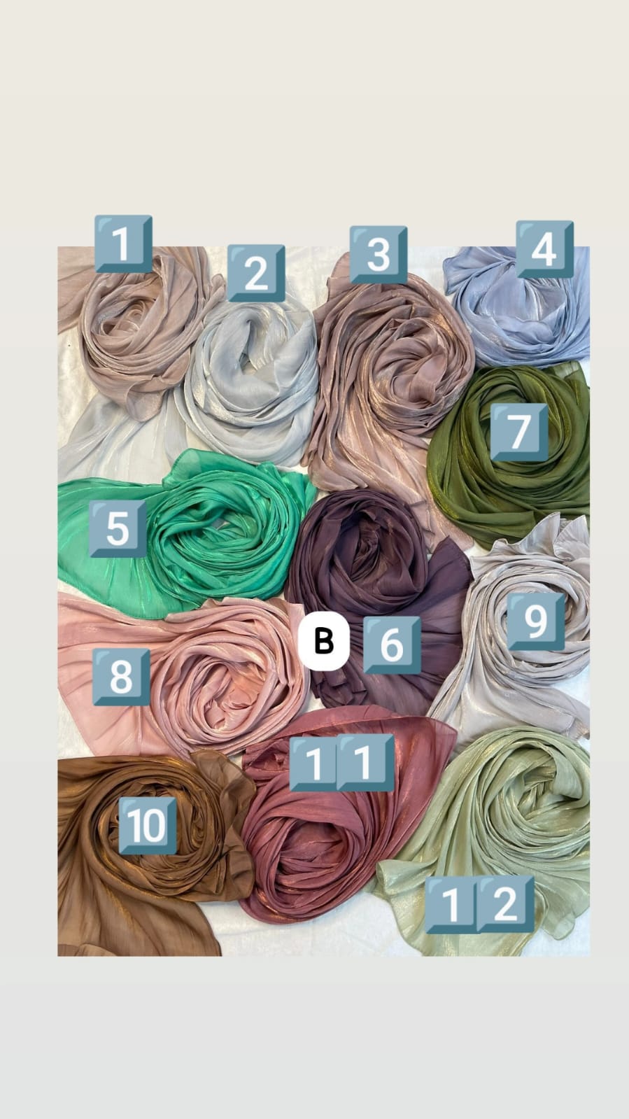 Elegant Organza Hijab