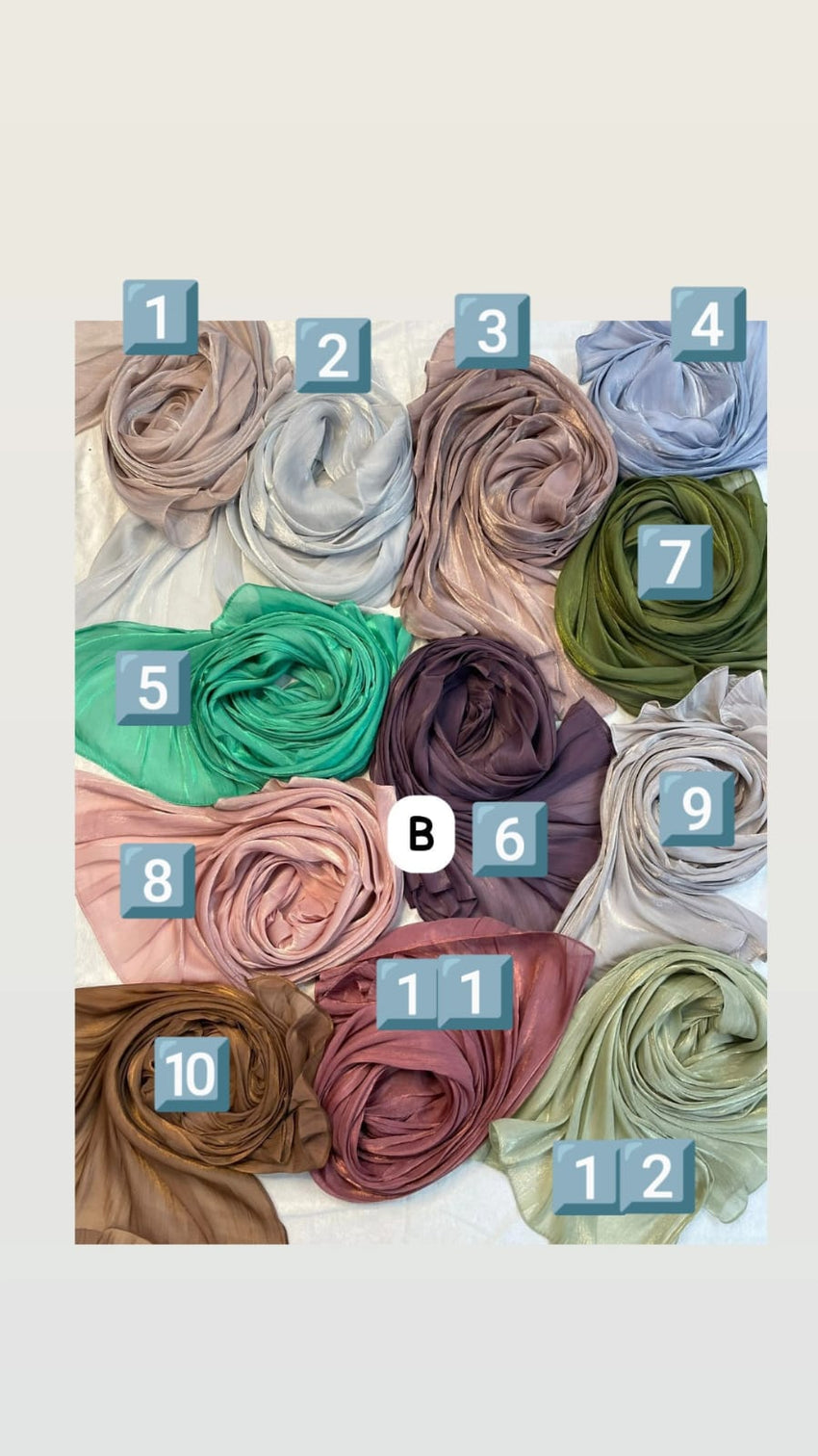 Elegant Organza Hijab